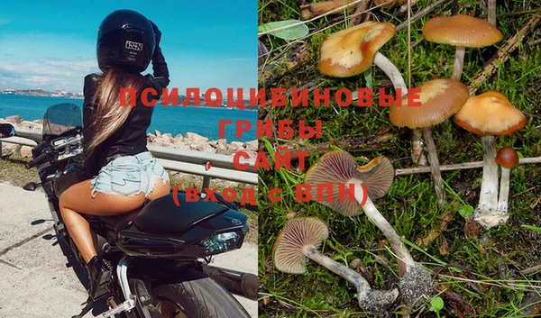 гашишное масло Елабуга