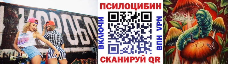 Купить закладки  Канск  Псилоцибиновые грибы ЛСД 
